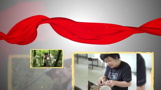 三秦巾帼大学习 | 常秀云:坚定当好“秦岭卫士”的“朱鹮妈妈”