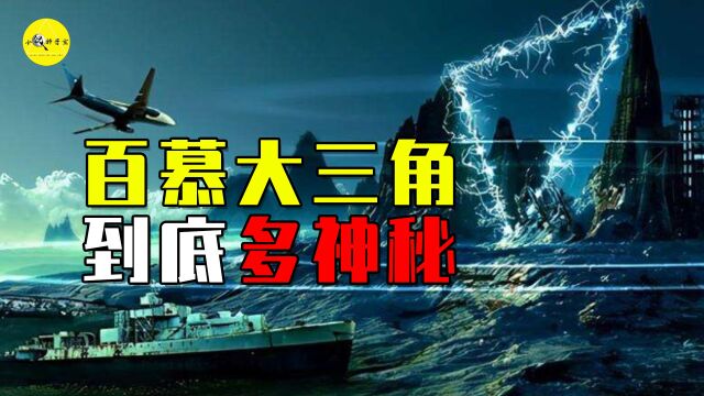 飞机轮船无故失踪,百慕大三角到底多恐怖?背后隐藏着什么秘密?