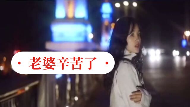 经典歌曲《老婆辛苦了》