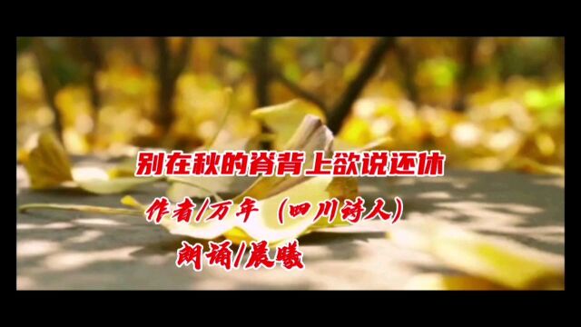 美文欣赏《别在秋的脊背上欲说还休》作者/万年(四川诗人)朗诵/晨曦