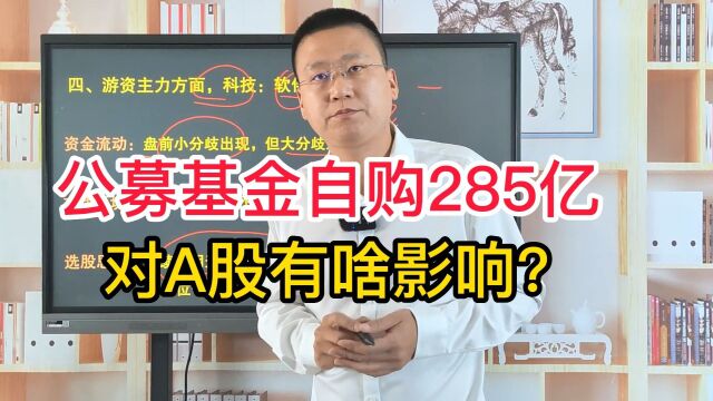 三大公募基金自购285亿元,对A股有什么影响?后市机会在哪里呢?