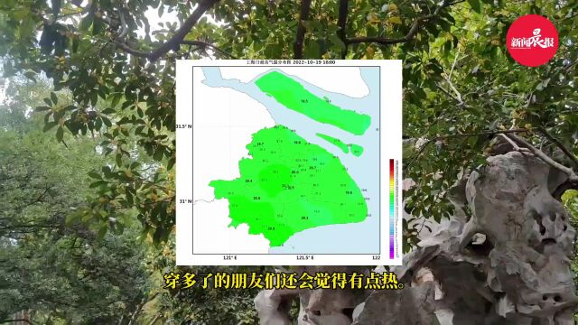 上海未来十天继续干燥少雨!周五、周六最高升至24℃,下周初略降温 | 晨天气