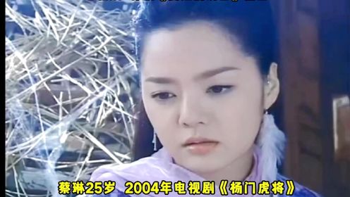 韩剧女神蔡琳影视作品混剪 曾经的中国媳妇，可惜现在隐退了！