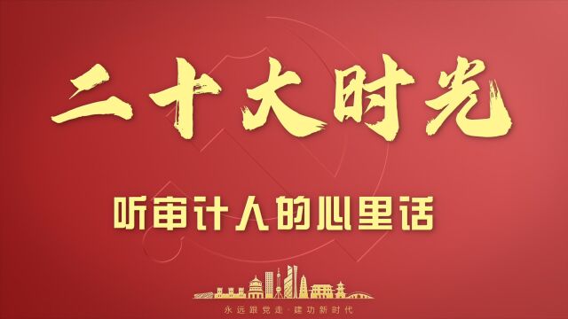 听审计人的心里话审计署成都特派办 惠义禹