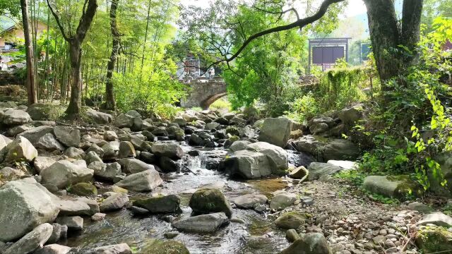 所见,皆可入画;所想,皆可入笔.浑然天成的风景勾勒出生活的诗意.