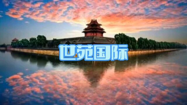 陈仓世苑国际