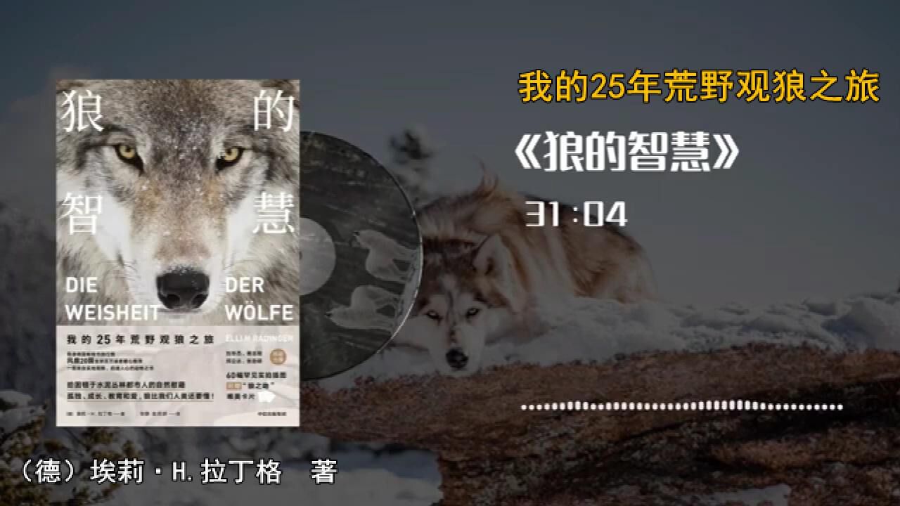 读书(1)_《狼的智慧》我的25年荒野观狼之旅_高清1080P在线观看平台_腾讯视频