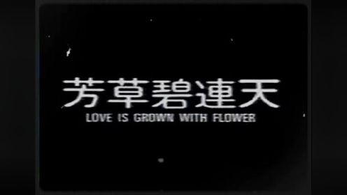 《芳草碧连天》是1986年由齐秦、王祖贤主演的电影。#怀旧经典影视 #前奏一响拾起多少人的回忆 #一代人的经典回忆