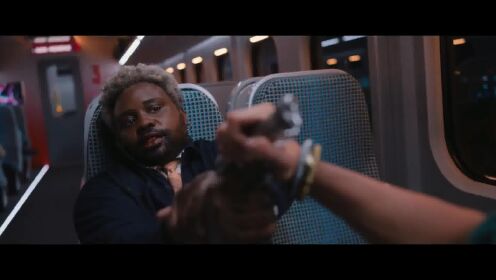 在高铁的静音车厢里打架，会被拘几天？