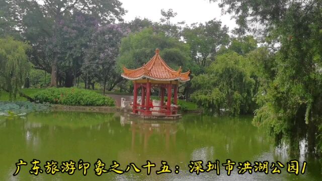 广东旅游印象之八十五:深圳市洪湖公园1