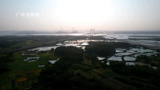 调顺跨海大桥,湛江市的又一座代表性建筑,知道为什么用红色吗?