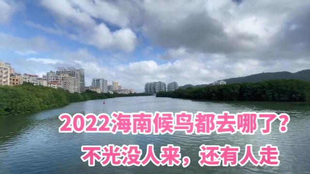 2022年海南过冬见不到候鸟?还有大批人离开?带你看看真实情况