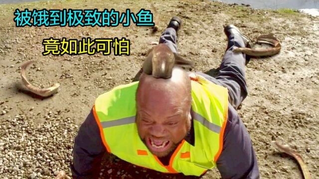 电影:变异鳗鱼来到路面,见到它的人,都难逃一死