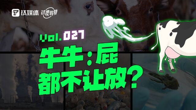 牛放P比二氧化碳污染还严重?|钛度科普