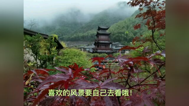 风景分享#