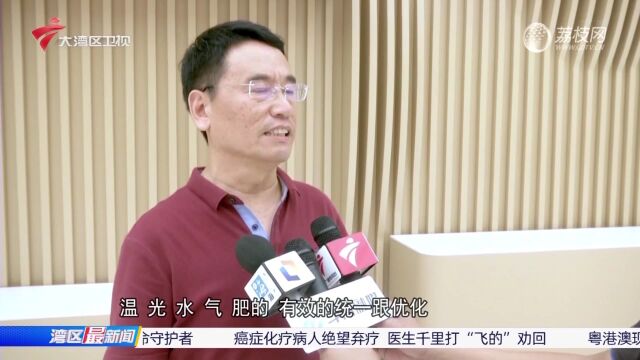 粤港澳现代农业示范园 打造大湾区“世界级农业”