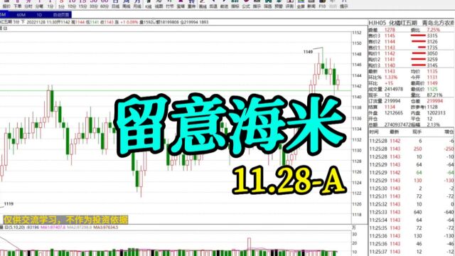 青岛北方,青岛北方农商11月28日午评,哈国际、黔农生态、盛通四方 #青岛北方 #黔农生态 #哈国际