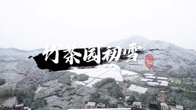 杭州泰康径山竹茶园初雪 ✨如诗如画、景色宜人