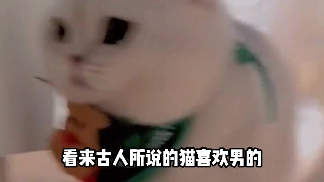 盘点汪喵双标名场面