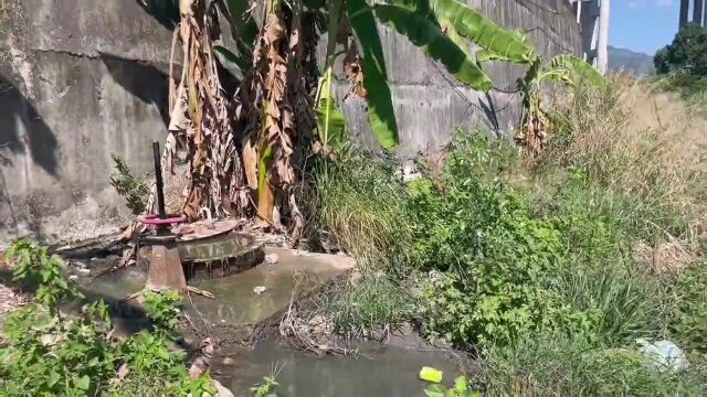 榕检守护|检察护河专员助力守护大樟溪水净河清