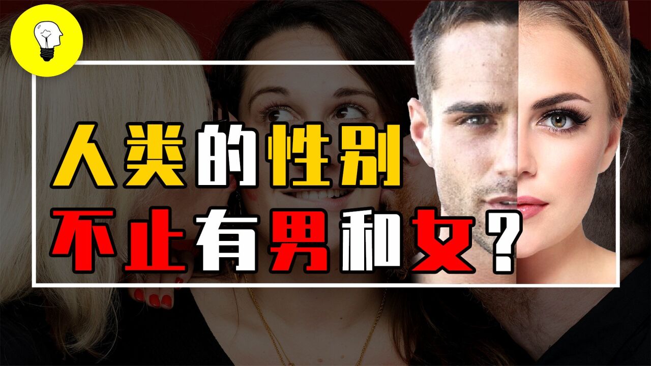 你的真实性别是什么？美国统计出112种性别，你属于哪一种？（1/3）_高清
