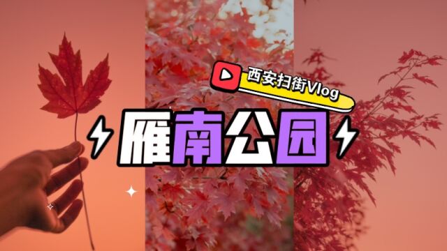 西安扫街Vlog丨雁南公园