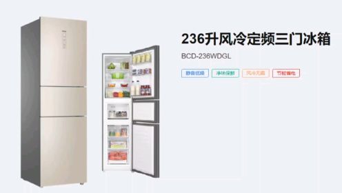 海尔BCD-236WDGL冰箱