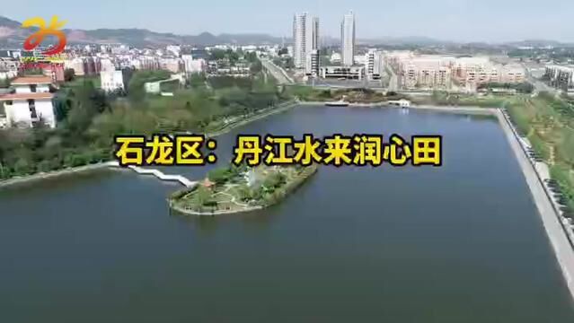 石龙区建区25周年系列报道之一:丹江水来润心田