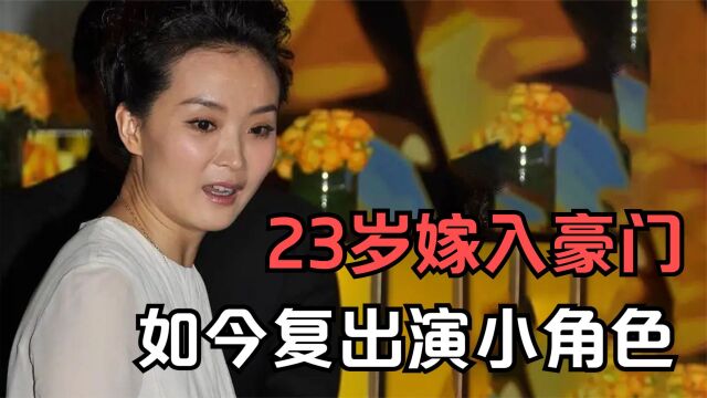 王艳:23岁嫁入豪门当阔太,如今接小角色复出,她都经历了啥?