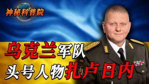 瓦列里·扎卢日内：乌克兰军队头号人物！泽连斯基最后的希望？