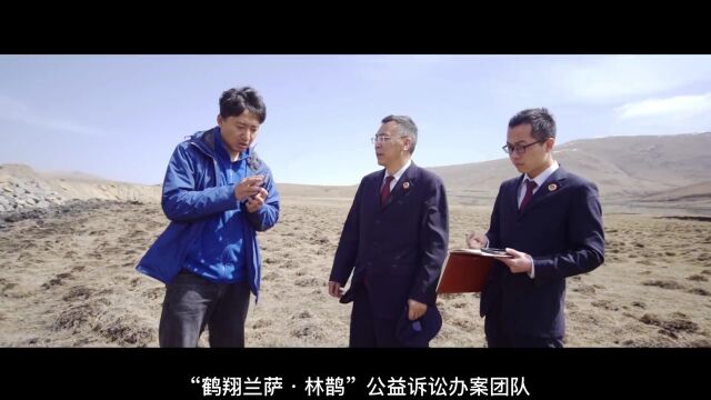 三培育三引领 | 阿坝县人民检察院——遇见“鹤翔兰萨ⷦž—鹊”守护高原神山净土