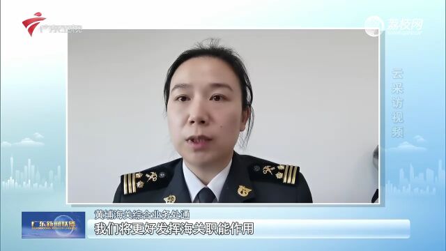 【学习宣传贯彻党的二十大精神】广东:坚定不移推进高水平对外开