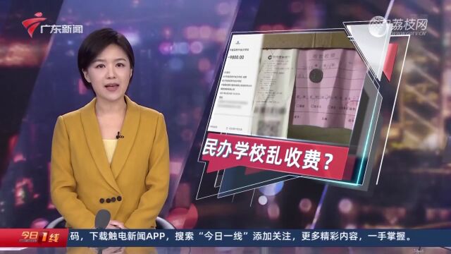 湛江:民办学校收费不明 财政补贴不翼而飞?