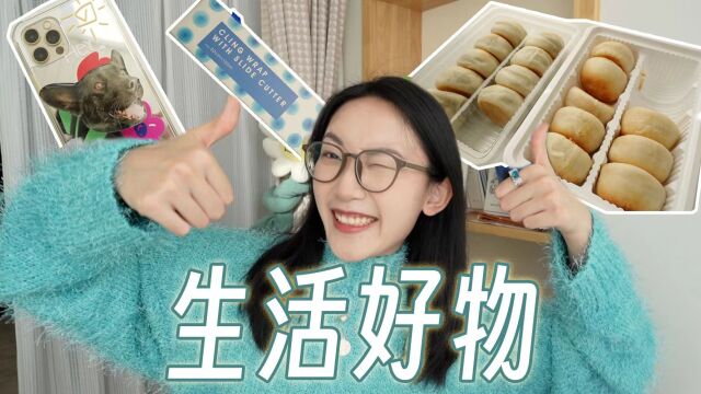 近期爱用物|定制手机支架|适合谈恋爱的app|好吃不贵小点心|滑刀保鲜膜