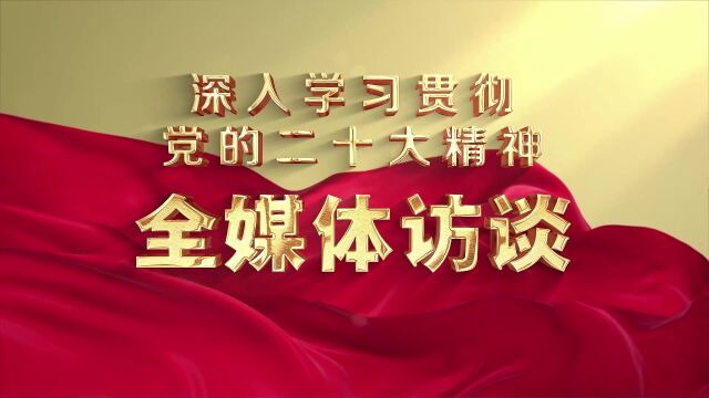 深入学习贯彻党的二十大精神ⷥ…襪’体访谈 黄石市自然资源和规划局