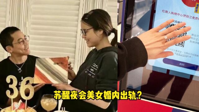 苏醒夜会美女婚内出轨?妻子廖语辰晒钻戒豪宅回应,自曝二胎姓名