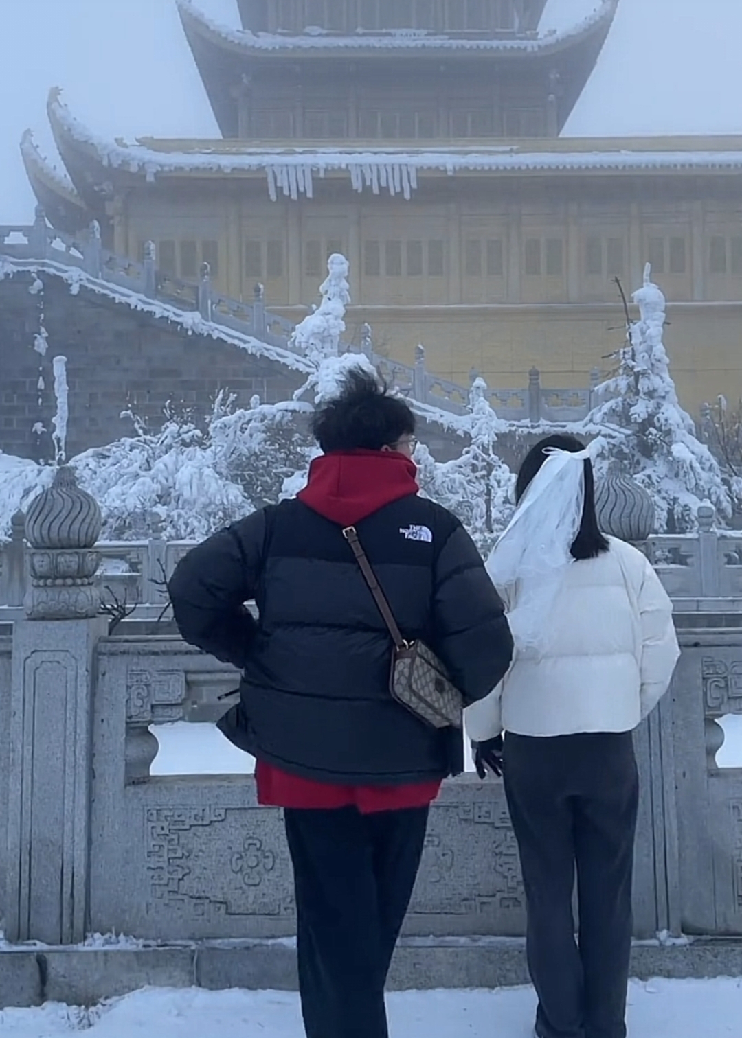 朱一龙向女友旅游求婚图片