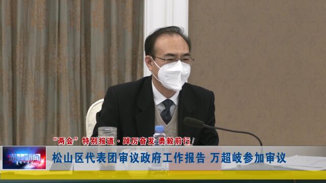 松山区代表团审议政府工作报告 万超岐参加审议