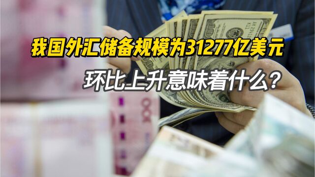 我国外汇储备规模为31277亿美元 环比上升意味着什么?