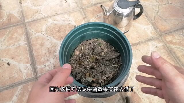 不花钱“杀虫子”,简单又暴力!虫子、细菌,一锅端