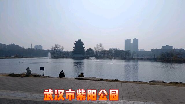 实拍武汉紫阳公园,市中心开放公园,里面环境干净漂亮