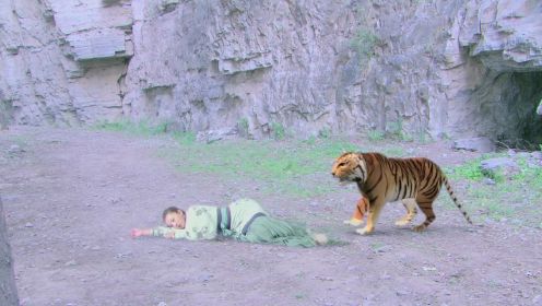香山：姑娘曾救过一只老虎，如今姑娘有难，老虎特来报恩