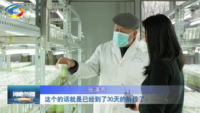 “最美科技工作者”张满贵: 推广农技服务群众 用心育种助农增收