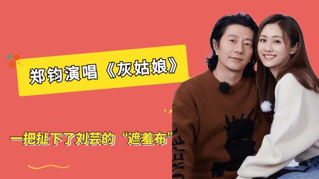 郑钧现场演唱《灰姑娘》,一把扯下刘芸的“遮羞布”,背后真相被人一语道破