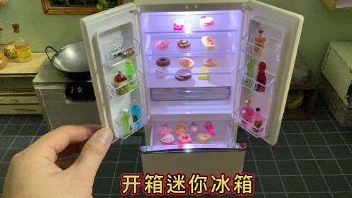 迷你厨房，开箱迷你冰箱，能冰东西？