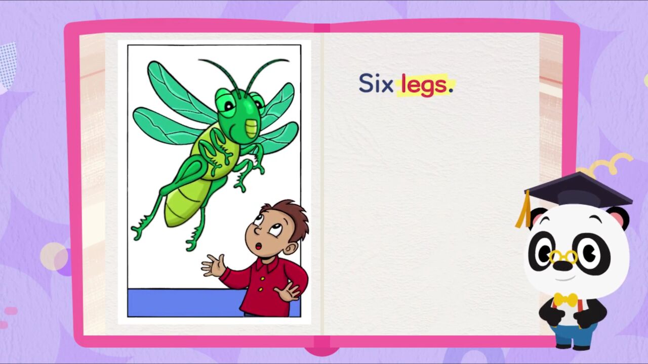 第14集:raz-one insect_高清1080p在线观看平台_腾讯视频