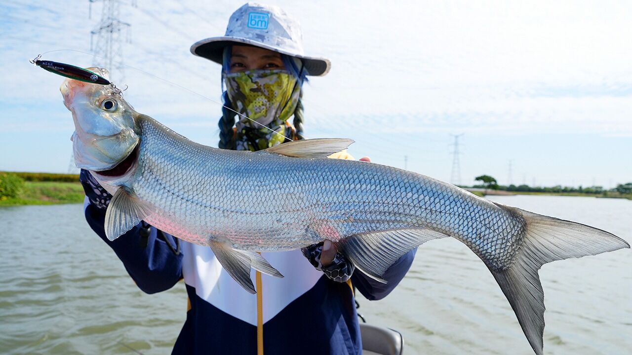 蓝旗鱼路亚 | 女钓手的秘密武器,简单高效!