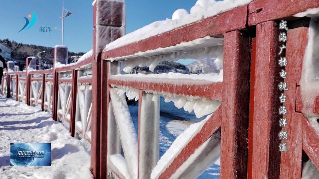 雪后海边冰凌美景微信