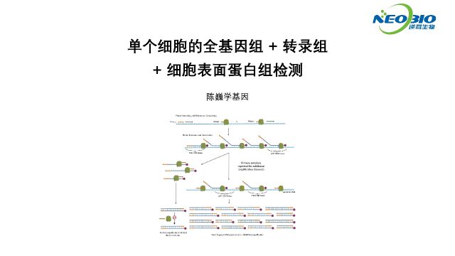 【陈巍学基因】单个细胞的全基因组 + 转录组 + 细胞表面蛋白组检测