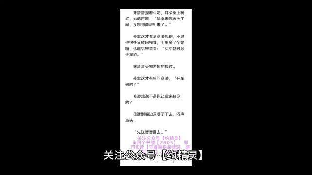 甜宠文《守着替身装情深,盛少别较真》商渺盛聿全文